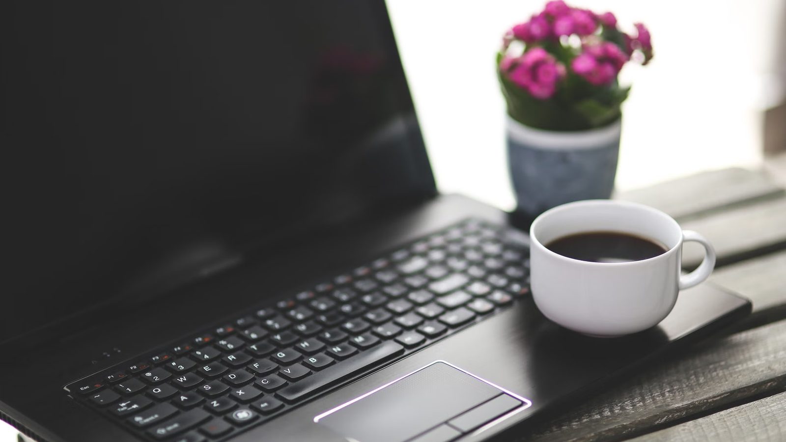 Laptop, filiżanka i roślina na biurku
