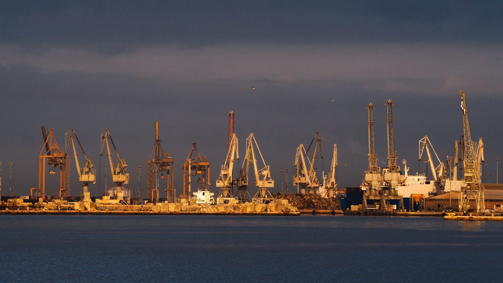 Portowe żurawie w wieczornym świetle