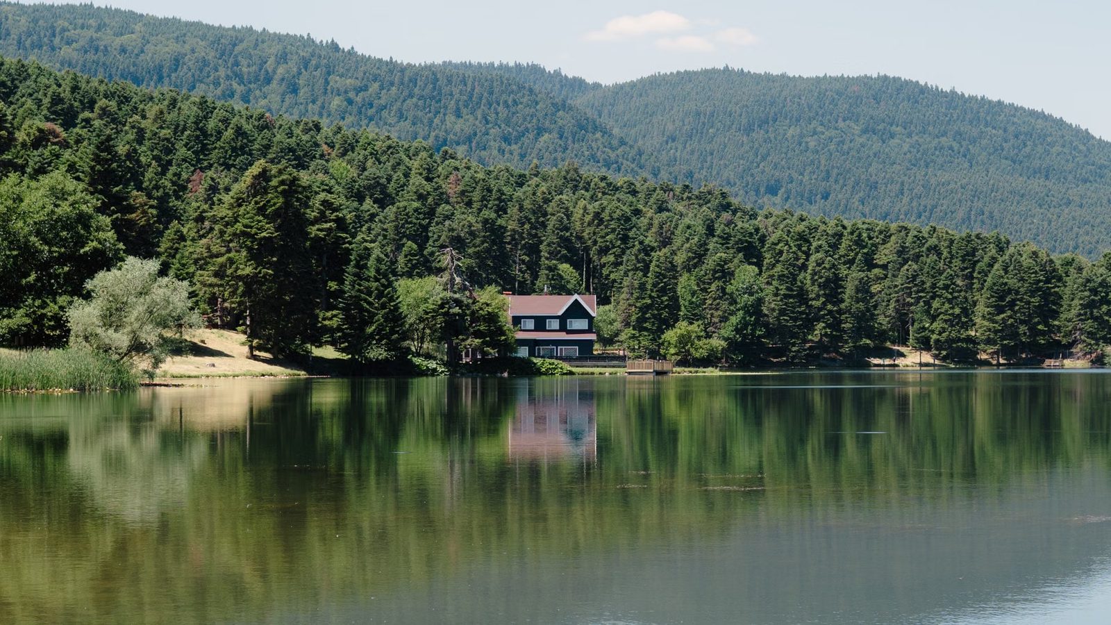 Domki nad jeziorem w letnim krajobrazie