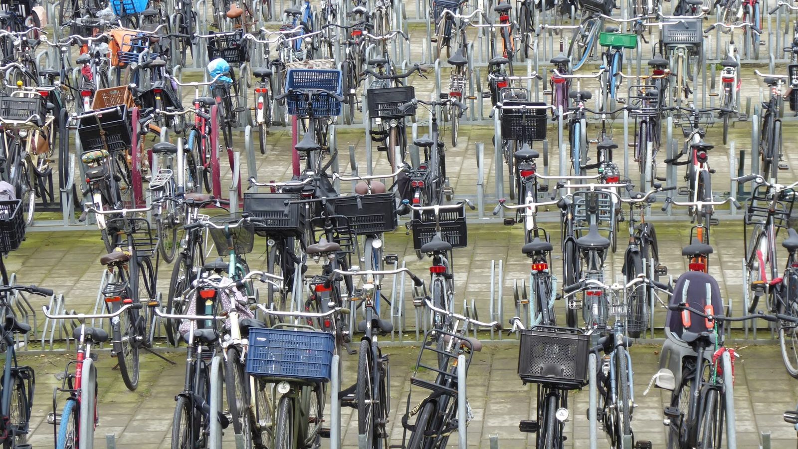 Rzędy rowerów z koszykami w stojakach na parkingu rowerowym