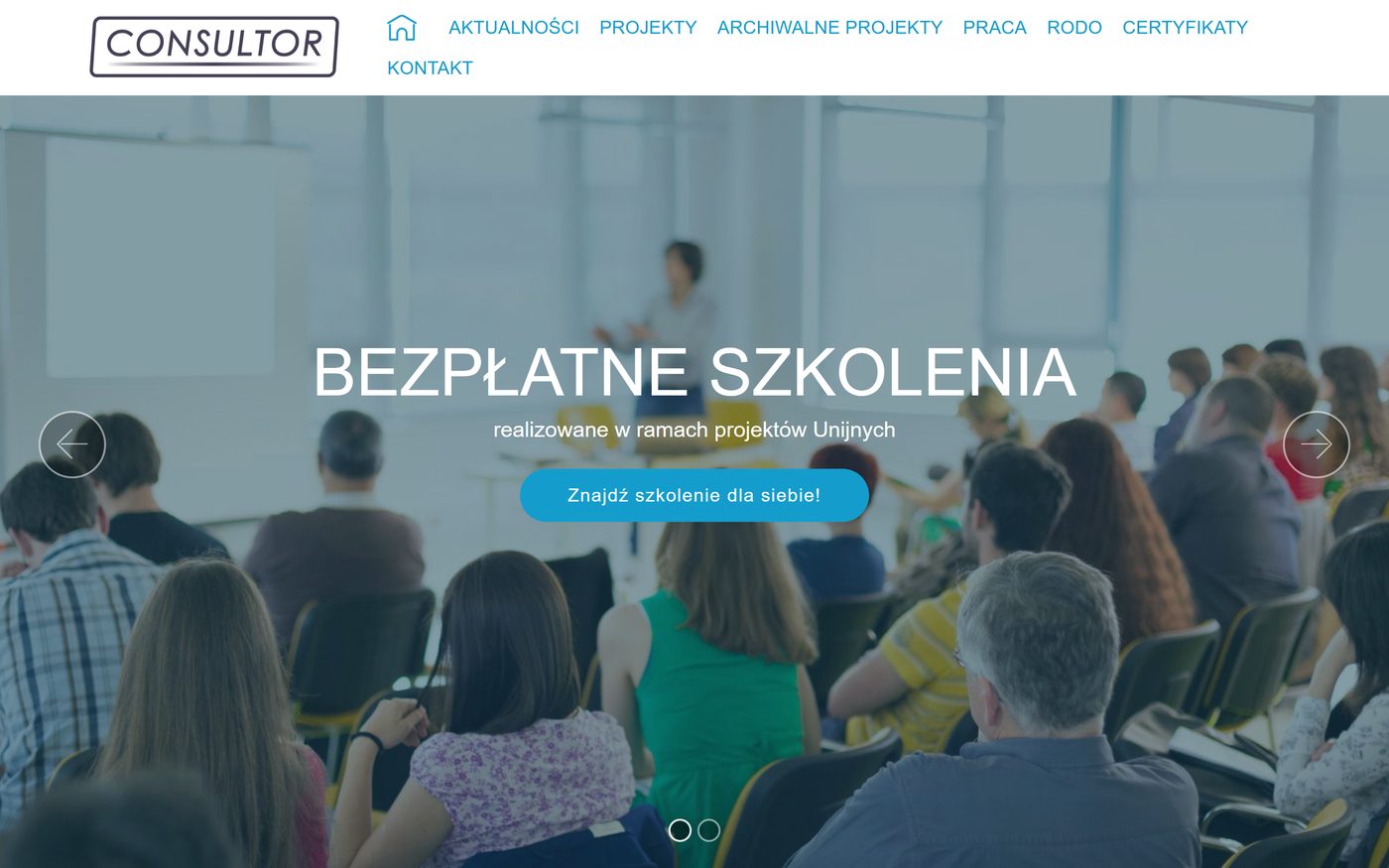 Consultor — podgląd strony