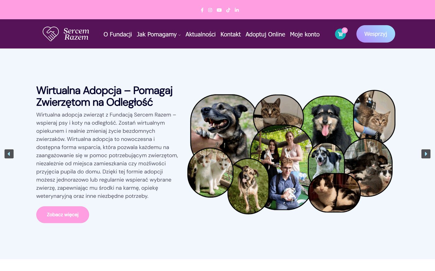 Fundacja Sercem Razem — podgląd strony
