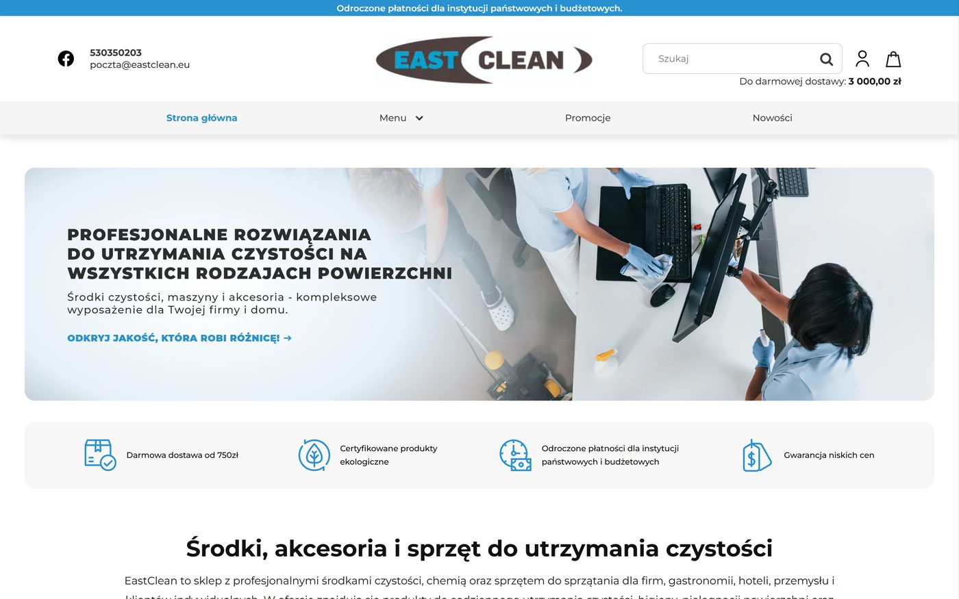 Sprzątanie Profesjonalne — podgląd strony